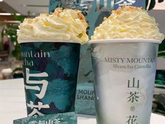 -雾与山茶(大禹城店)