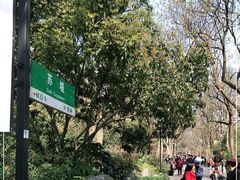 -苏堤停车场