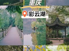 -重庆彩云湖湿地公园