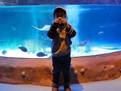 -沈阳海洋探索中心