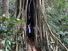 -中国科学院西双版纳热带植物园