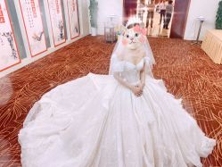 -洋洋婚纱品牌集合店