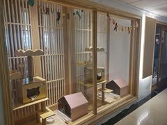 -猫腻·猫咖·撸猫馆(星光大道店)