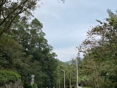 -火炉山森林公园