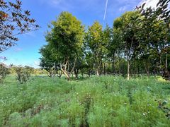 -普陀山风景名胜区-千步大沙