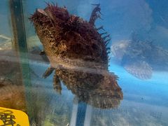 -丁字口海鲜热炒·烧烤大排档