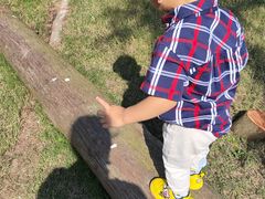 -前小桔亲子创意农场·草莓采摘·露营烧烤