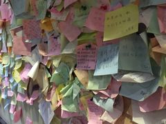 -大熊小厨(七星店)