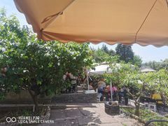 -桃源山庄·水蜜桃采摘·柴火鸡·烧烤团建(龙泉山店)