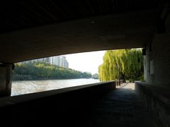 -运河游船(武林门码头)