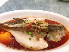 -玉雪春天(中正花园店)