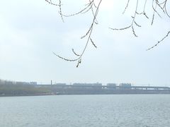 -丁香湖公园