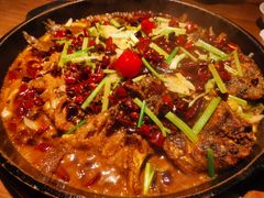 -老板恋上鱼(印象城店)