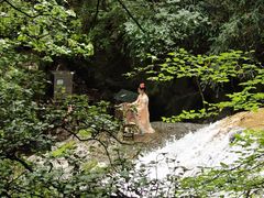 -牛背梁国家森林公园