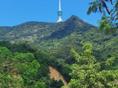 -梧桐山风景名胜区
