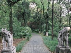 -白马涧龙池景区