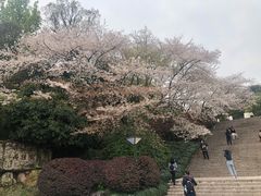 -杭州少年儿童公园