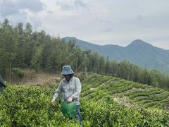 -东天目山风景区