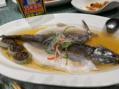 酒香天山鳕鱼-蟹榭·本帮江浙菜·蟹宴(五角场合生汇商场店)