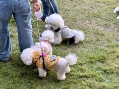 -上海神旺大酒店