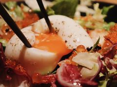 蛋蛋沙拉-Hatsune隐泉日式料理(三里屯太古里店)