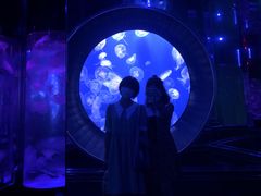 -成都浩海立方海洋公园