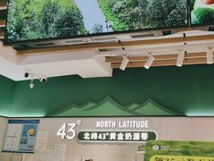 -茉酸奶(高科山姆店)