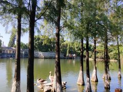 -东莞市可园博物馆