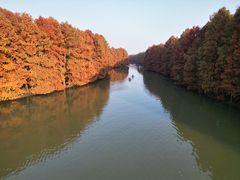 -上海海湾国家森林公园