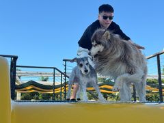 -爪吧宠物乐园 (温榆河示范区店)