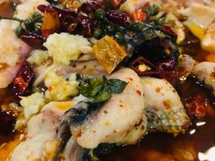 -百年银屏蚝烙·潮汕菜·非遗(乐山店)