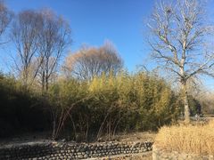 -北京亚布洛尼朝阳公园滑雪场