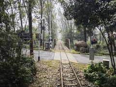 -合肥滨湖国家森林公园