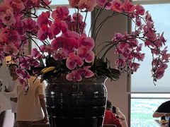 -嘉定凯悦·咖啡厅