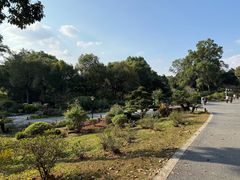 -东莞植物园
