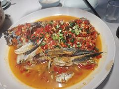 -全乐鱼馆·淳牌有机鱼直营店