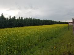 -塞罕坝国家级自然保护区