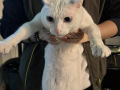 -Doors独立剧情密室(东门分店)