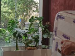 -Toris(LuOne凯德晶萃广场店)