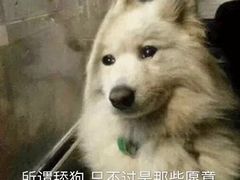 -冶春茶社(星汉大厦店)