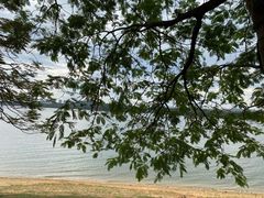 -松山湖风景区松湖烟雨