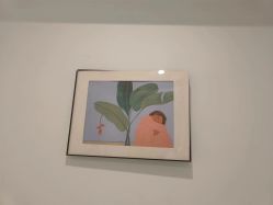 -OAE日式皮肤管理お肌の