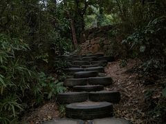-青青世界