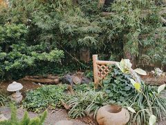 -山壹竹庭院餐厅
