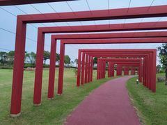 -春花秋色城市公园