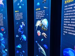 -青岛海底世界-水族馆
