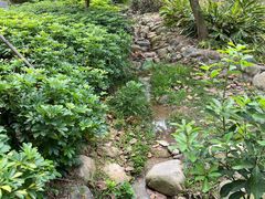 -聚龙山公园