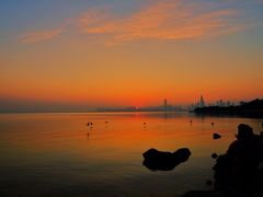 -深圳湾公园(南山区)