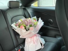 -上海星瀚奔驰4S店(红柳路店)