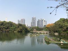 -百林公园-两江幸福广场